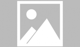 日本黄动漫网站,内容解析与影响探讨